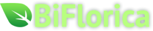 BIFLORICA
